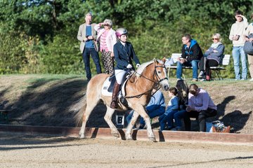 Bild 34 - Pony Akademie Turnier